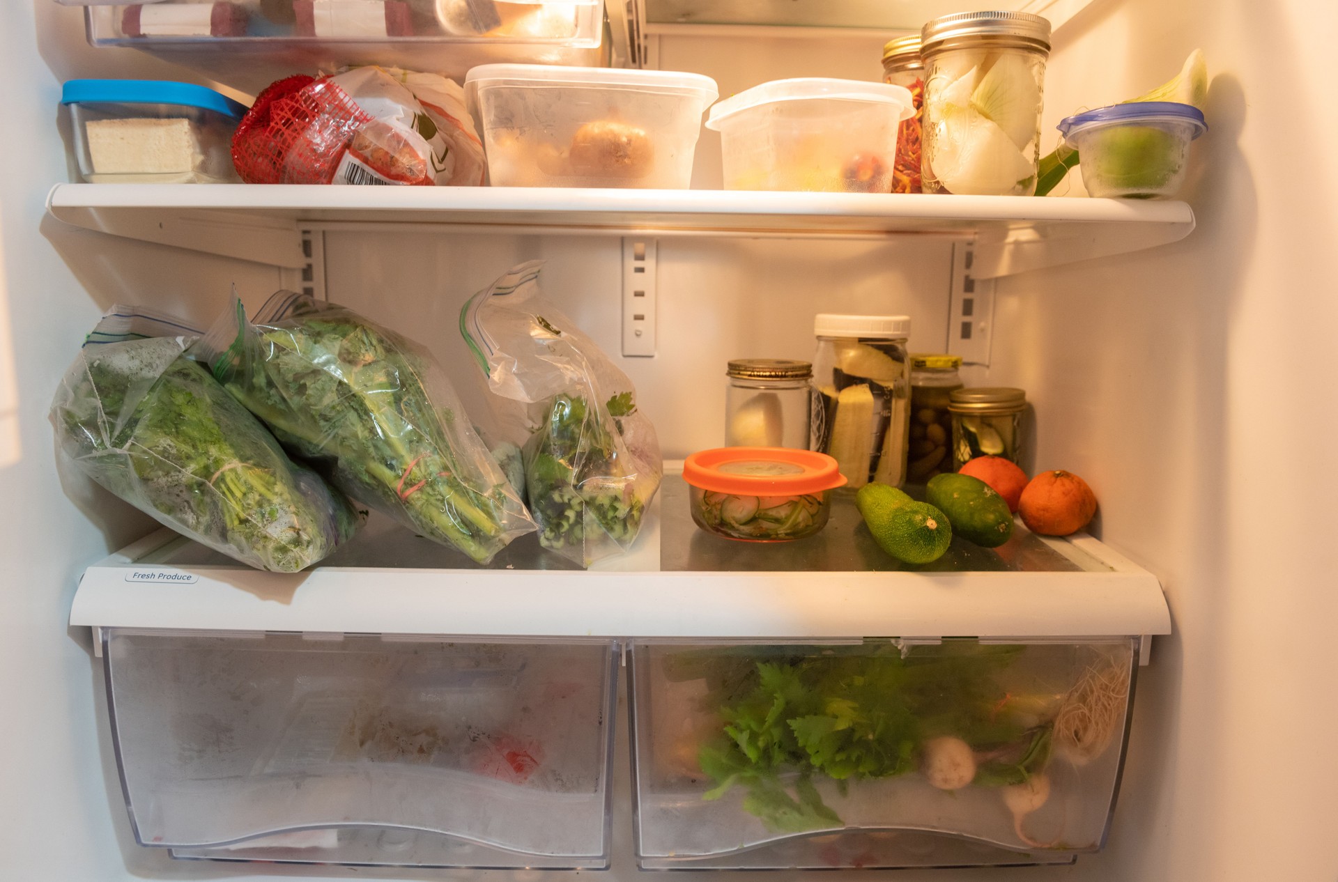 Refrigerator Interior Still Life with Vegan Food During Coronavirus Lockdown